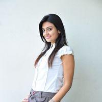 Nikita Narayan at It's My Love Story Movie Preemeet - Pictures | Picture 116675
